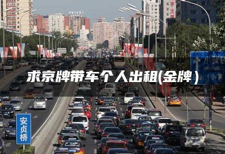 求京牌带车个人出租(金牌）