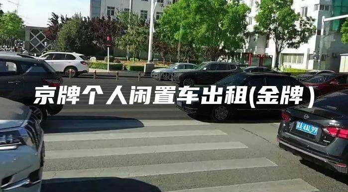京牌个人闲置车出租(金牌）