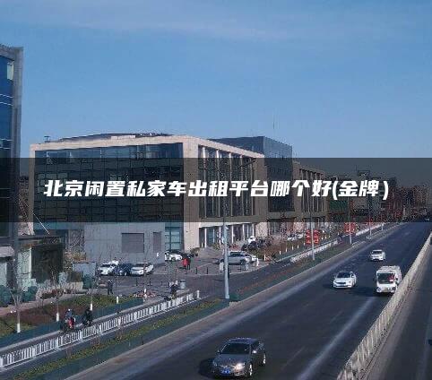 北京闲置私家车出租平台哪个好(金牌）