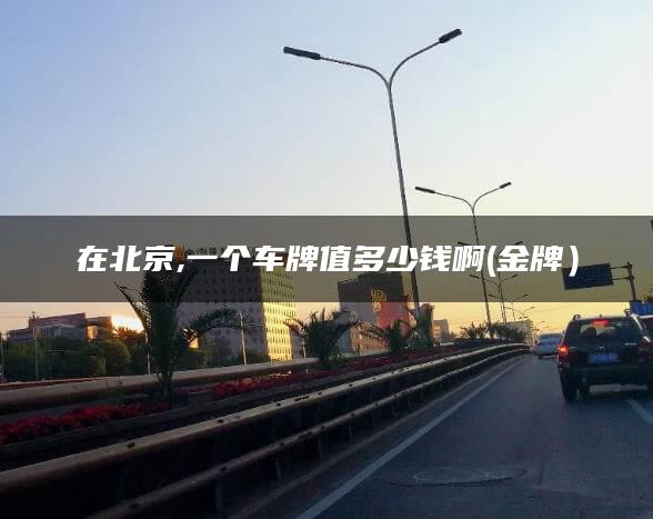 在北京,一个车牌值多少钱啊(金牌）