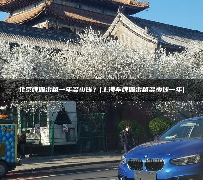北京牌照出租一年多少钱？(上海车牌照出租多少钱一年)