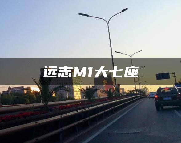 远志M1大七座