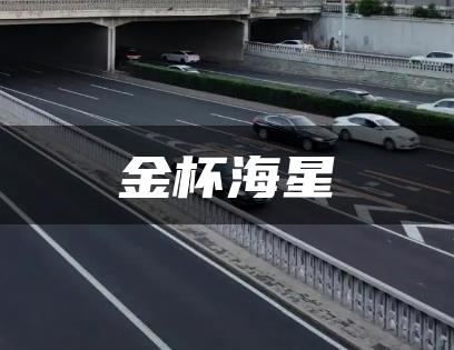 金杯海星
