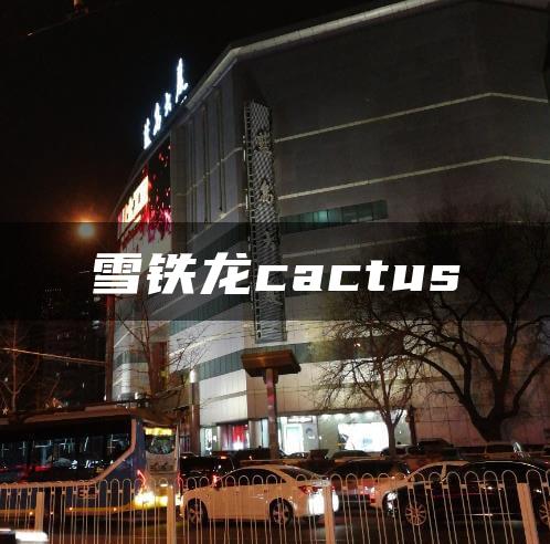 雪铁龙cactus