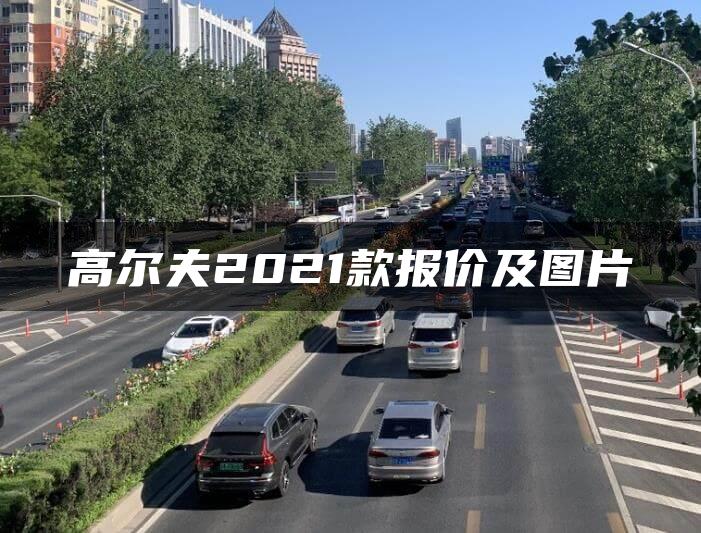 高尔夫2021款报价及图片