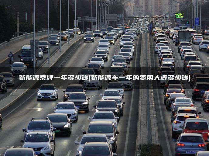 新能源京牌一年多少钱(新能源车一年的费用大概多少钱)