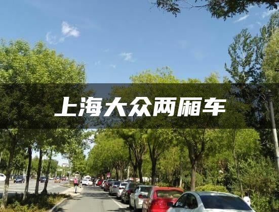 上海大众两厢车