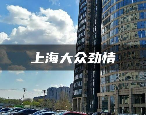 上海大众劲情