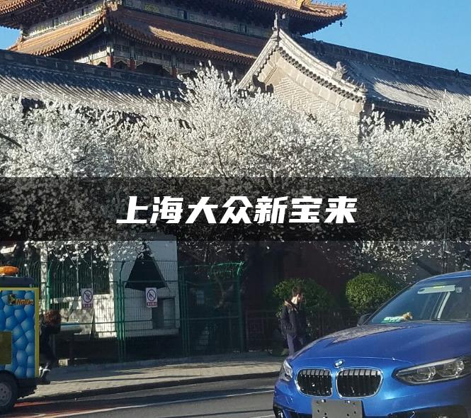 上海大众新宝来