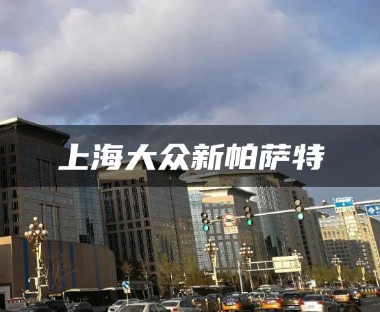 上海大众新帕萨特