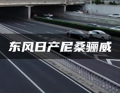 东风日产尼桑骊威