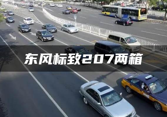 东风标致207两箱