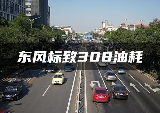 东风标致308油耗