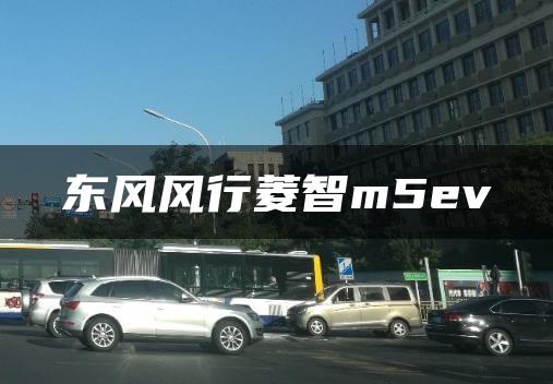 东风风行菱智m5ev