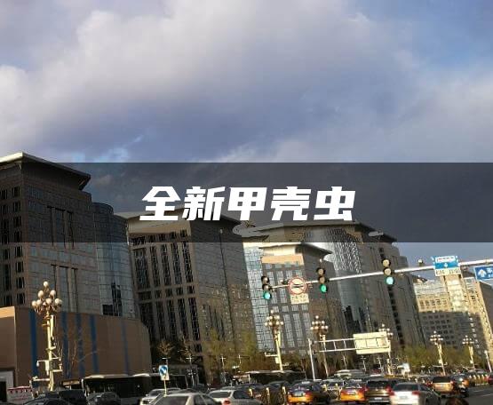 全新甲壳虫