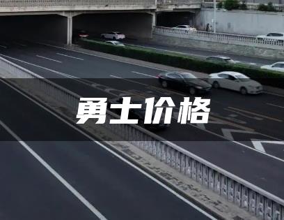 勇士价格