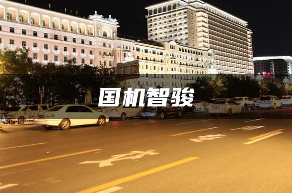国机智骏