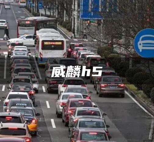 威麟h5