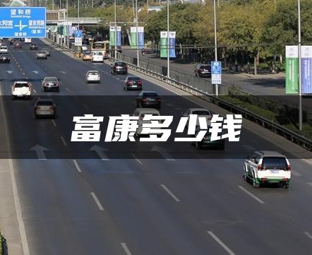 富康多少钱