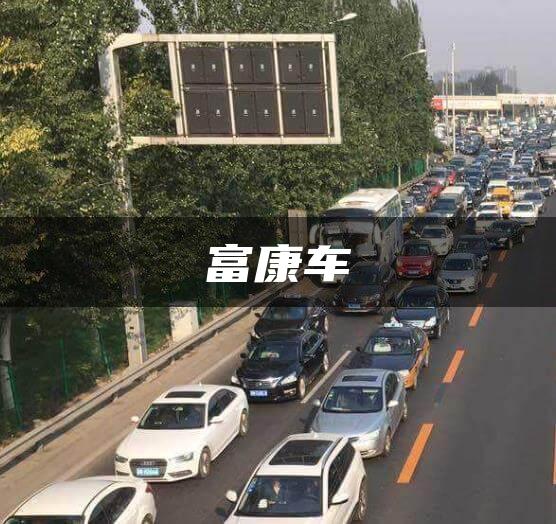 富康车
