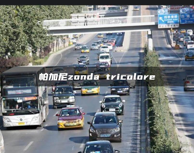 帕加尼zonda tricolore
