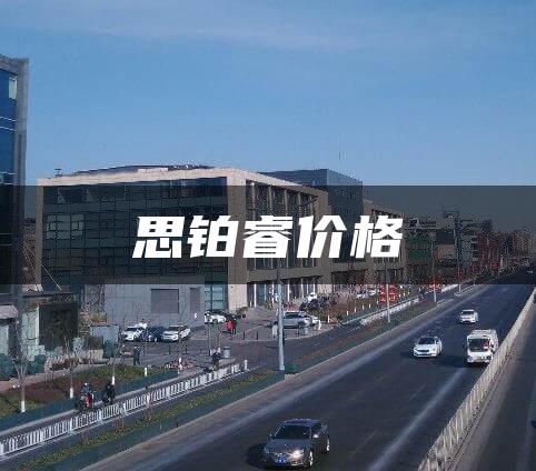 思铂睿价格