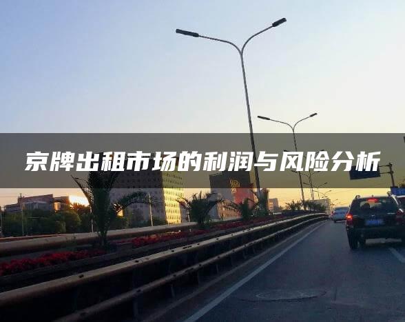 京牌出租市场的利润与风险分析