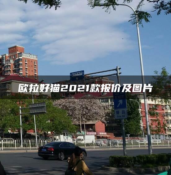 欧拉好猫2021款报价及图片
