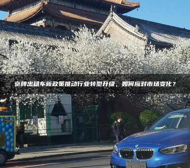 京牌出租车新政策推动行业转型升级，如何应对市场变化？
