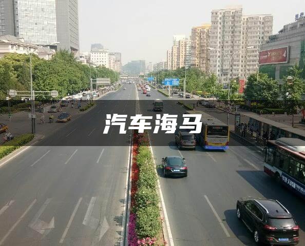 汽车海马