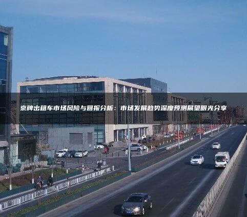 京牌出租车市场风险与回报分析：市场发展趋势深度预测展望眼光分享