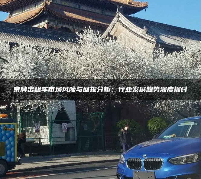 京牌出租车市场风险与回报分析：行业发展趋势深度探讨