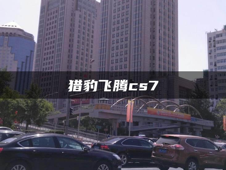 猎豹飞腾cs7