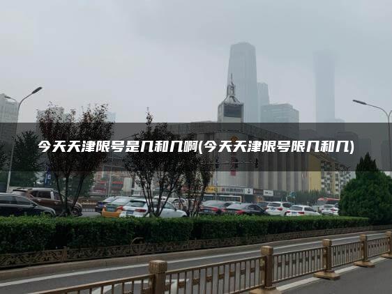 今天天津限号是几和几啊(今天天津限号限几和几)