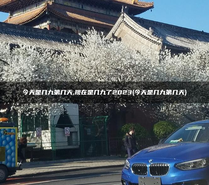 今天是几九第几天,现在是几九了2023(今天是几九第几天)