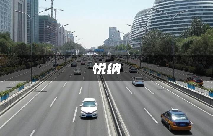 悦纳