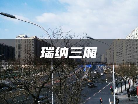 瑞纳三厢