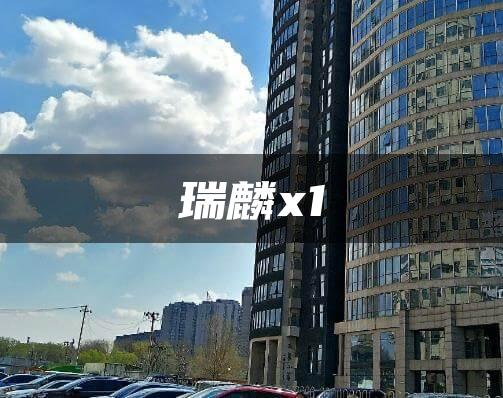 瑞麟x1