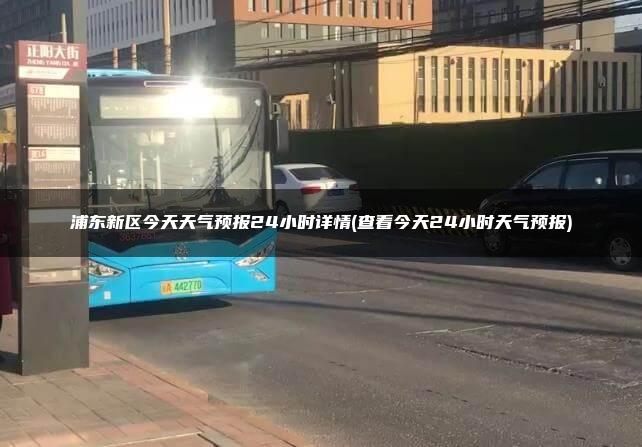 浦东新区今天天气预报24小时详情(查看今天24小时天气预报)