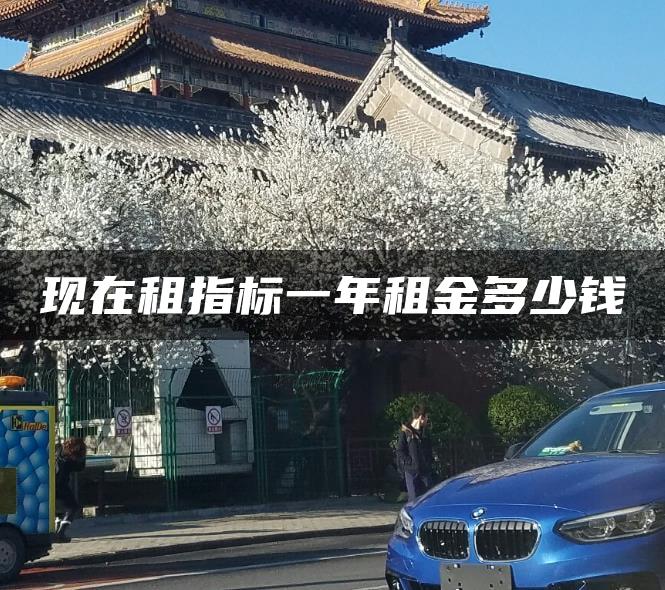 现在租指标一年租金多少钱