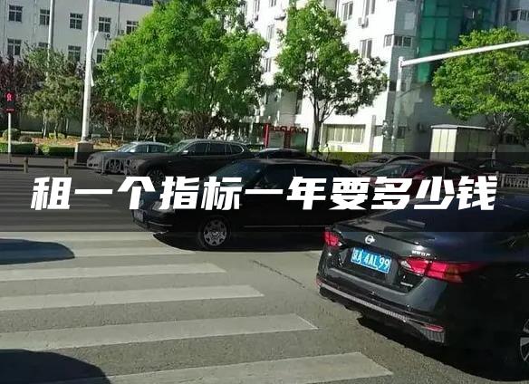 租一个指标一年要多少钱