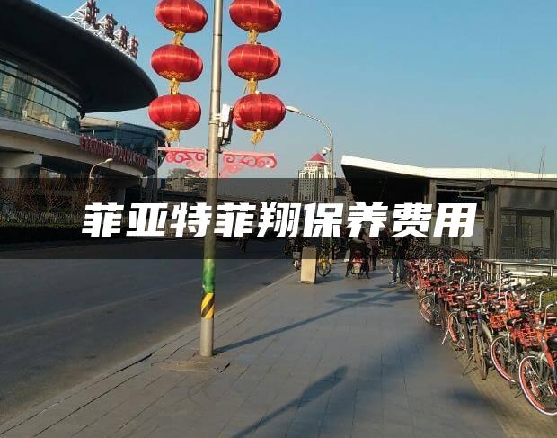 菲亚特菲翔保养费用