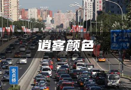 逍客颜色