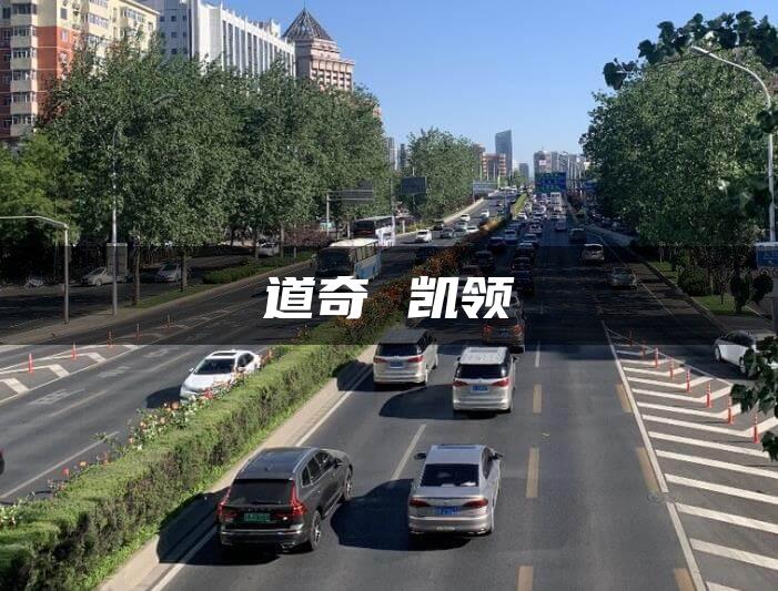 道奇 凯领