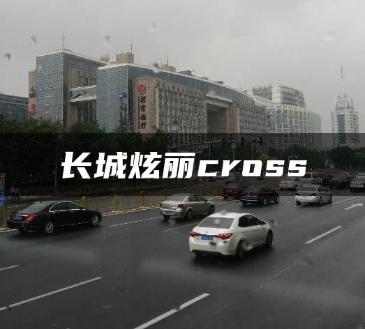 长城炫丽cross