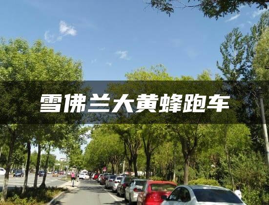 雪佛兰大黄蜂跑车