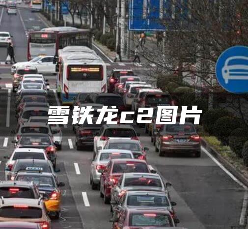 雪铁龙c2图片