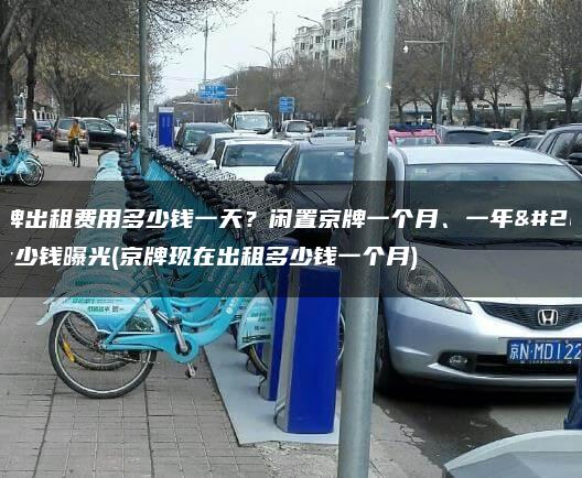 京牌出租费用多少钱一天？闲置京牌一个月、一年多少钱曝光(京牌现在出租多少钱一个月)
