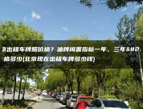 北京出租车牌照价格？油牌闲置指标一年、三年价格多少(北京现在出租车牌多少钱)