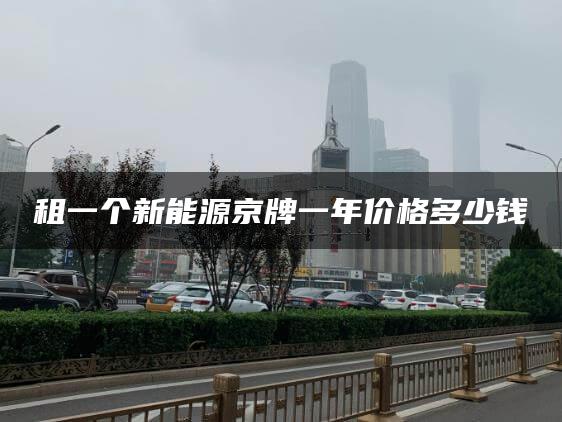租一个新能源京牌一年价格多少钱